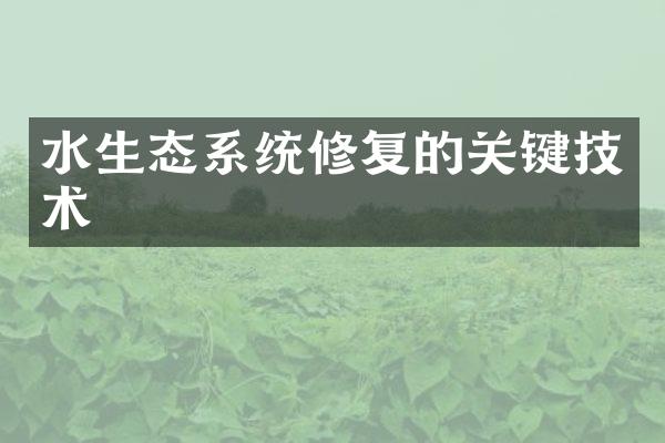 水生态系统修复的关键技术