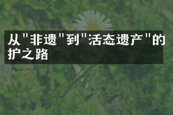 从"非遗"到"活态遗产"的守护之路