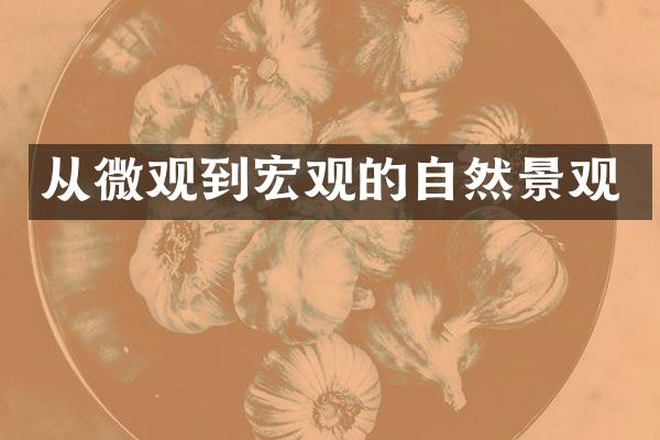 从微观到宏观的自然景观