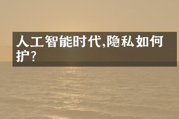人工智能时代,隐私如何保护?