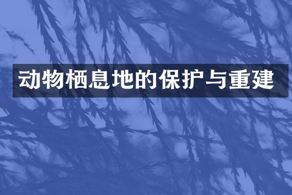 动物栖息地的保护与重建