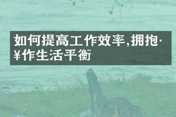 如何提高工作效率,拥抱工作生活平衡