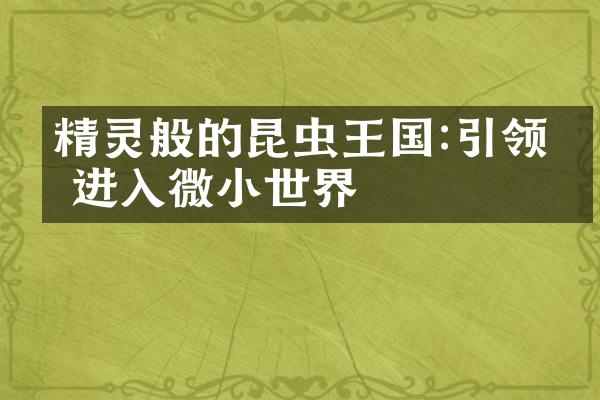 精灵般的昆虫王国:引领你进入微小世界