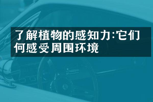 了解植物的感知力:它们如何感受周围环境