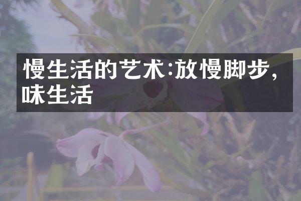 慢生活的艺术:放慢脚步,品味生活