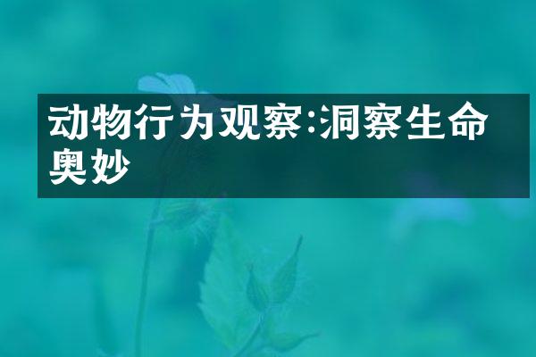 动物行为观察:洞察生命的奥妙