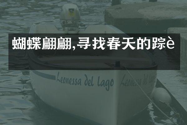 蝴蝶翩翩,寻找春天的踪迹
