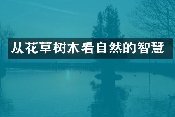 从花草树木看自然的智慧