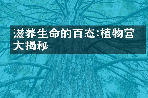 滋养生命的百态:植物营养大揭秘