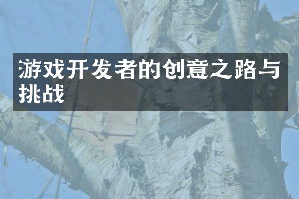 游戏开发者的创意之路与挑战