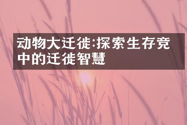 动物大迁徙:探索生存竞争中的迁徙智慧