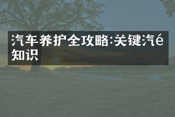 汽车养护全攻略:关键汽配知识