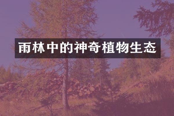 雨林中的神奇植物生态