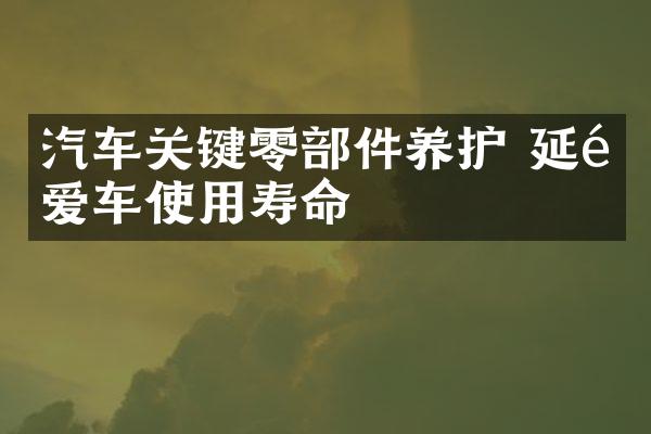 汽车关键零部件养护 延长爱车使用寿命