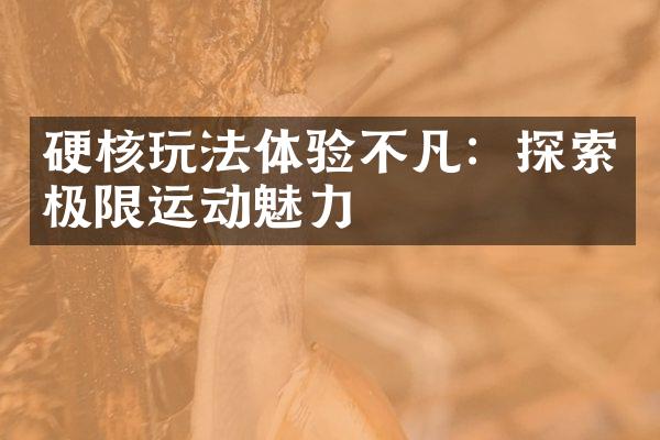 硬核玩法体验不凡：探索极限运动魅力
