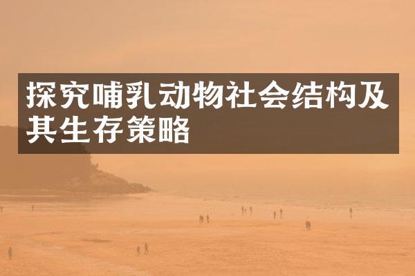 探究哺乳动物社会结构及其生存策略