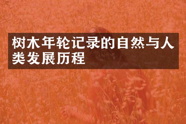 树木年轮记录的自然与人类发展历程