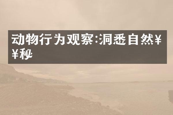 动物行为观察:洞悉自然奥秘