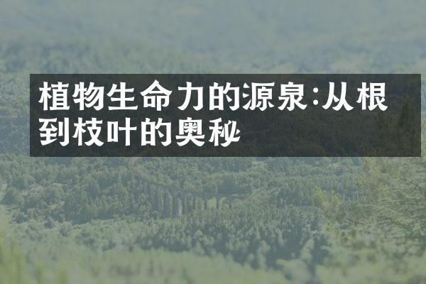 植物生命力的源泉:从根系到枝叶的奥秘