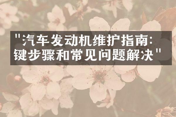 "汽车发动机维护指南：关键步骤和常见问题解决"