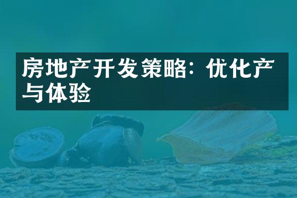 房地产开发策略: 优化产品与体验