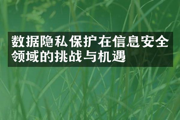 数据隐私保护在信息安全领域的挑战与机遇