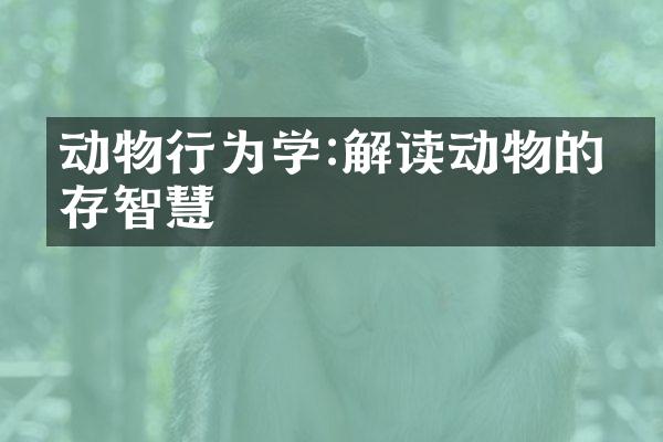 动物行为学:解读动物的生存智慧