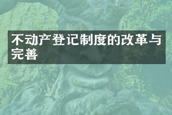 不动产登记制度的改革与完善