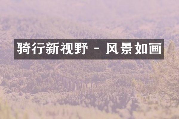 骑行新视野 - 风景如画