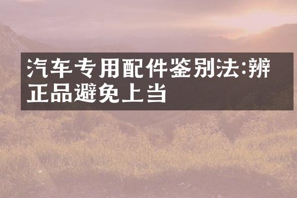 汽车专用配件鉴别法:辨别正品避免上当
