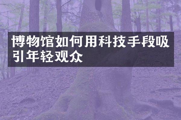 博物馆如何用科技手段吸引年轻观众