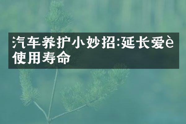 汽车养护小妙招:延长爱车使用寿命