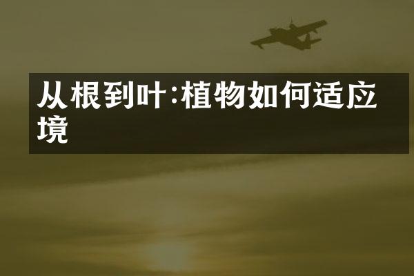 从根到叶:植物如何适应环境