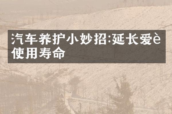 汽车养护小妙招:延长爱车使用寿命
