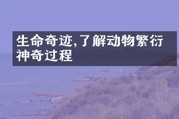 生命奇迹,了解动物繁衍的神奇过程