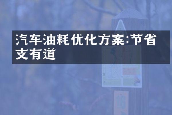 汽车油耗优化方案:节省开支有道