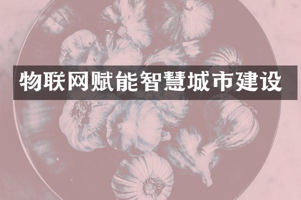 物联网赋能智慧城市建设