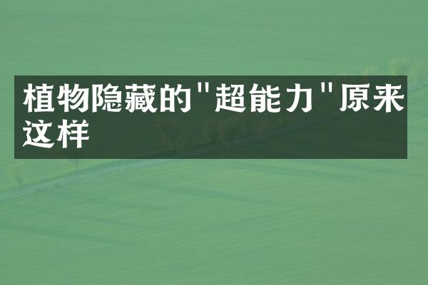 植物隐藏的"超能力"原来是这样