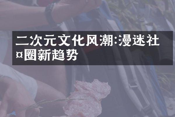 二次元文化风潮:漫迷社交圈新趋势