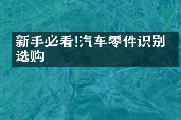 新手必看!汽车零件识别与选购