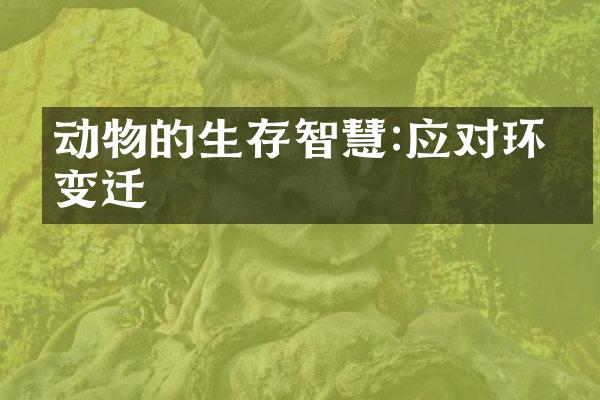 动物的生存智慧:应对环境变迁