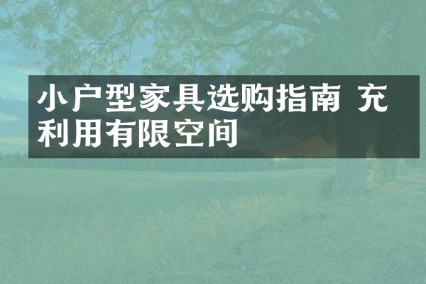 小户型家具选购指南 充分利用有限空间
