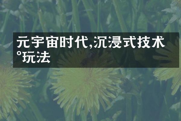 元宇宙时代,沉浸式技术新玩法