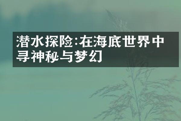 潜水探险:在海底世界中探寻神秘与梦幻