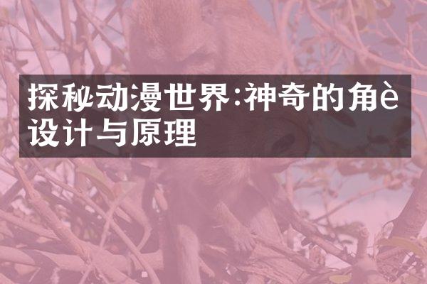 探秘动漫世界:神奇的角色设计与原理