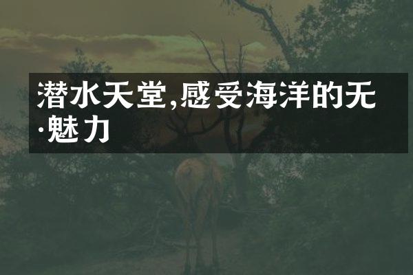潜水天堂,感受海洋的无穷魅力