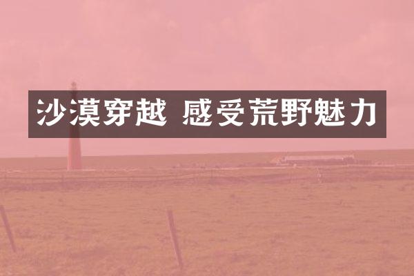 沙漠穿越 感受荒野魅力