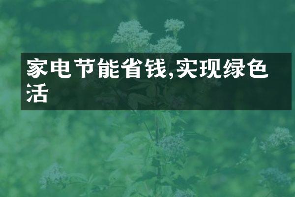 家电节能省钱,实现绿色生活