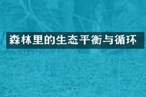 森林里的生态平衡与循环