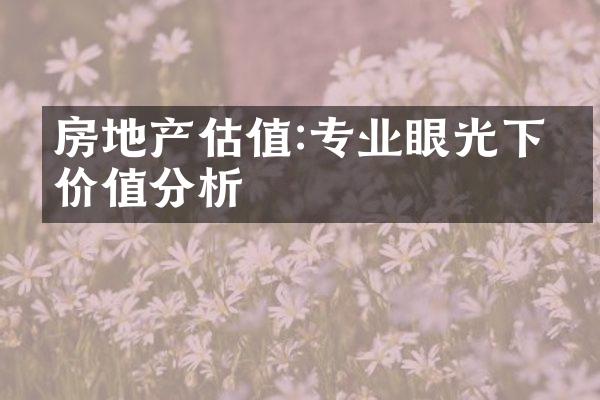 房地产估值:专业眼光下的价值分析